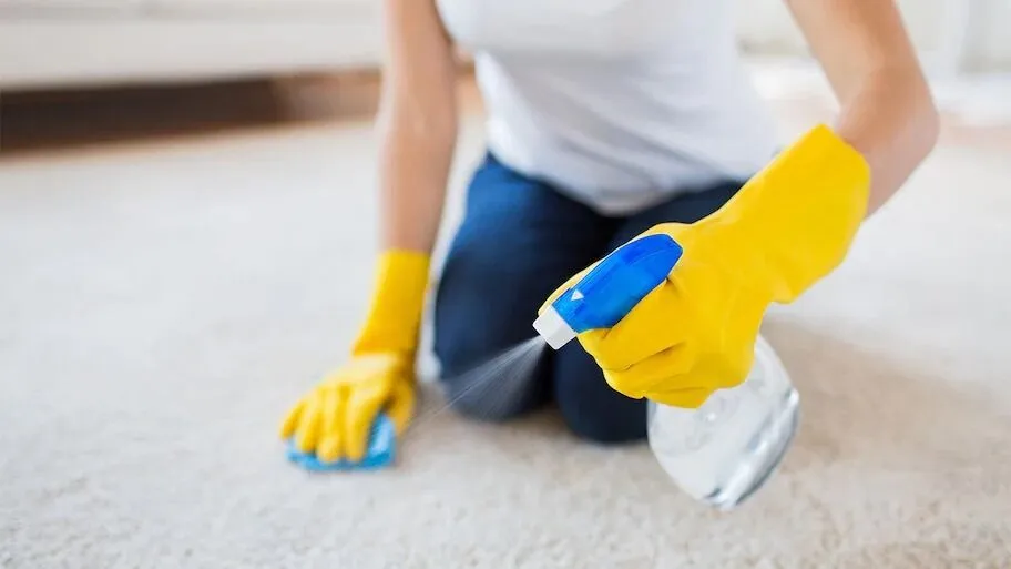  Eco-Friendly Carpet Cleaner Pre Spray