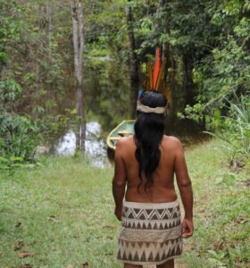 indigenous