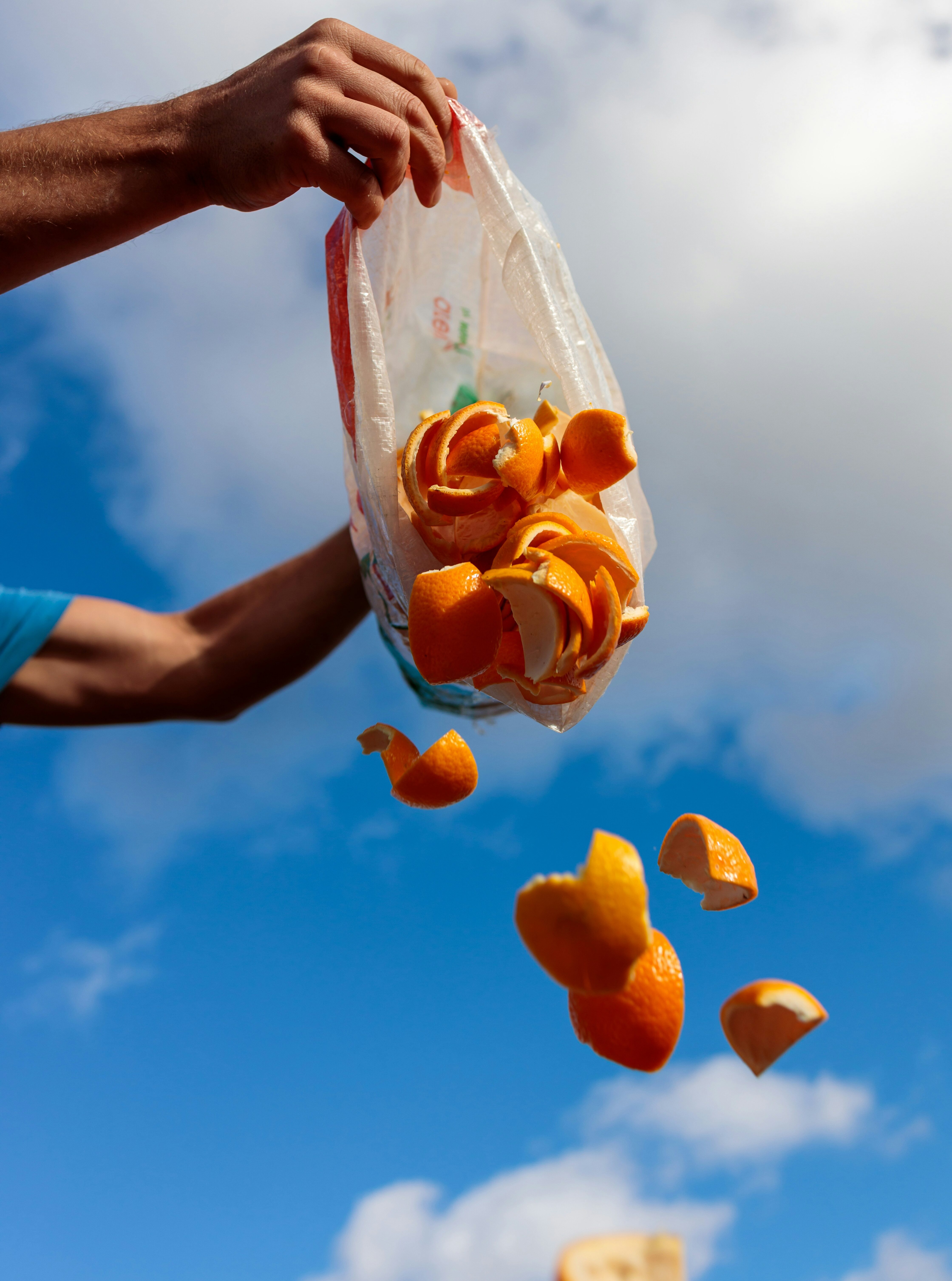  Cleaning and Food Waste in Companies