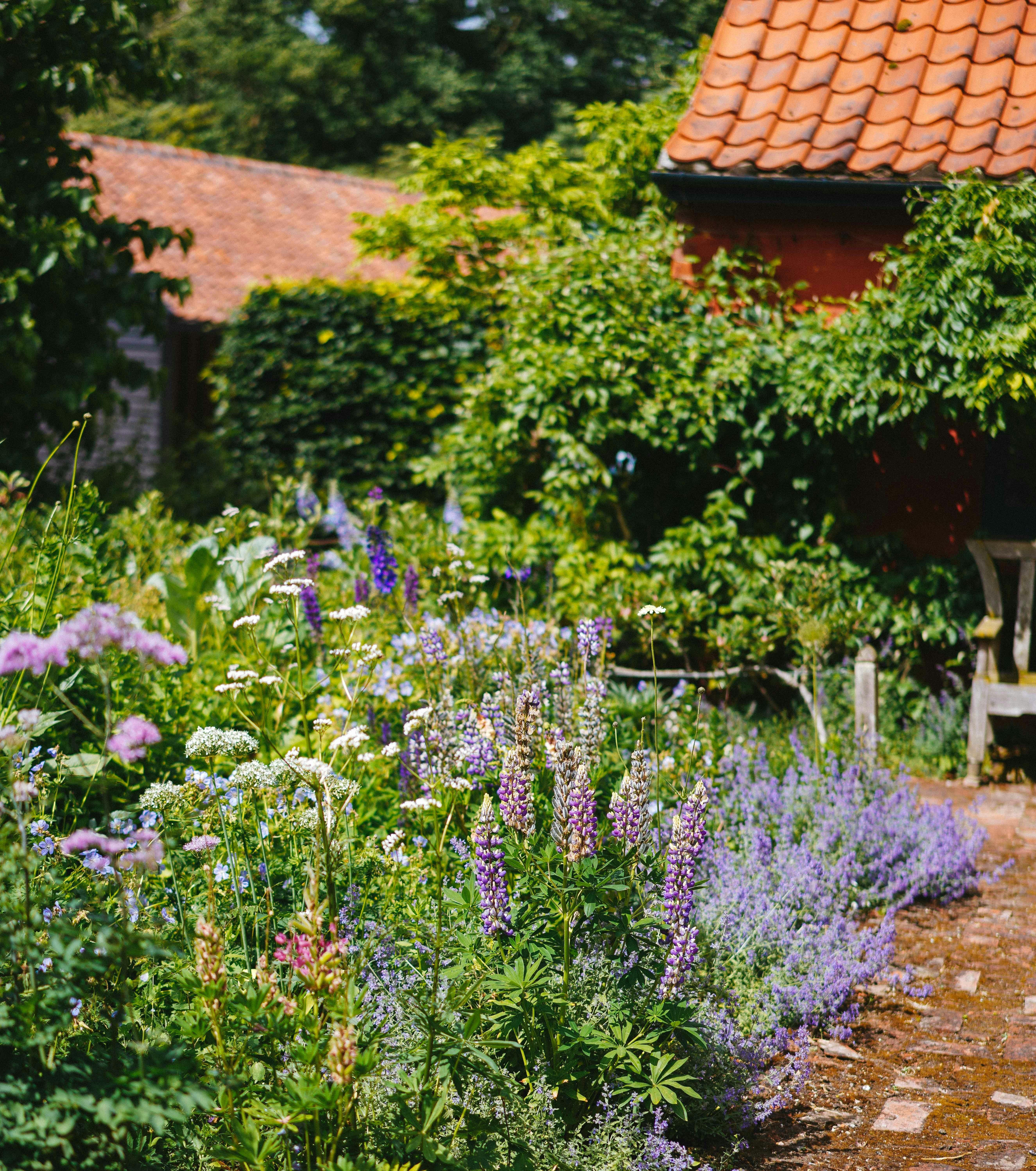  Maintaining a Clean Garden with Composting