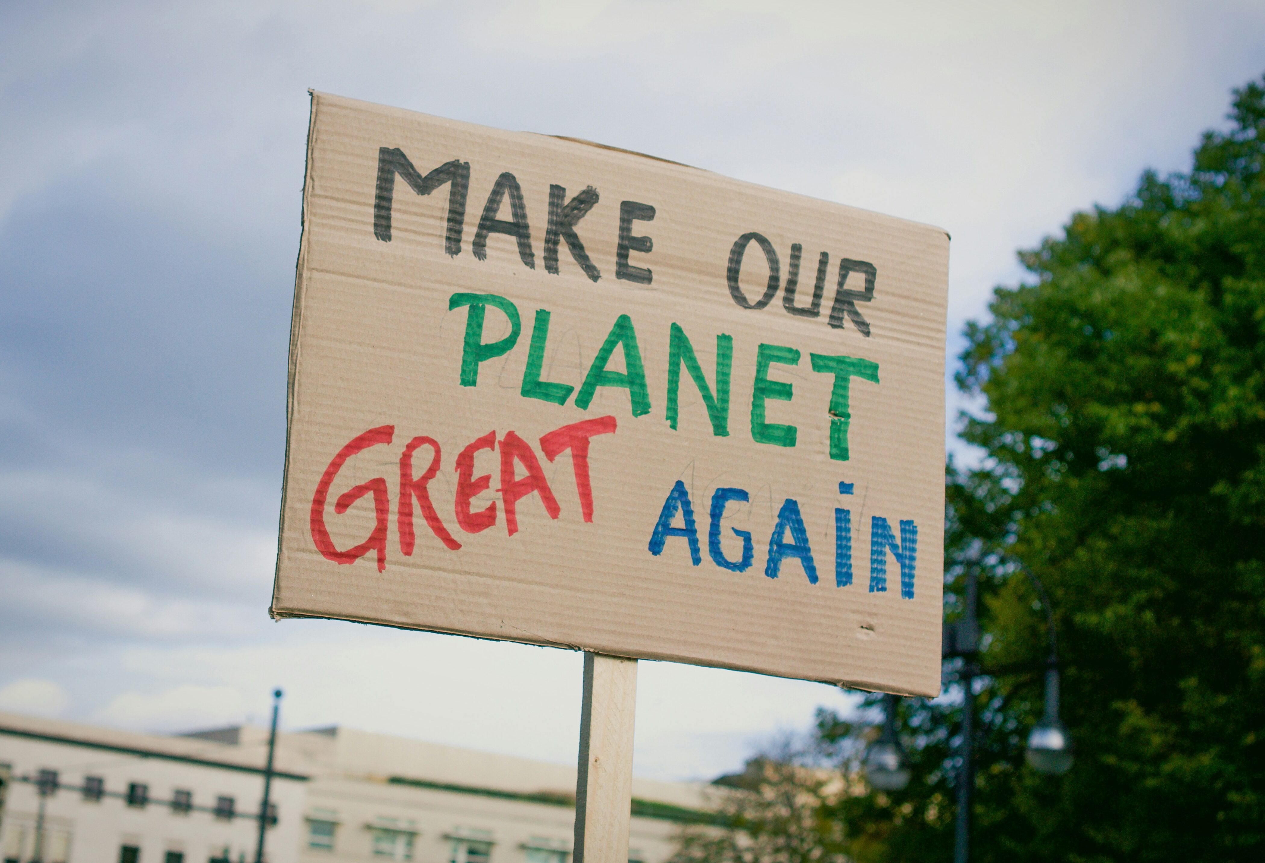  Love to the Planet by Cleaning Your Space 