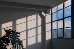 eco-friendly window cleaning service by Green Terra Cleaning