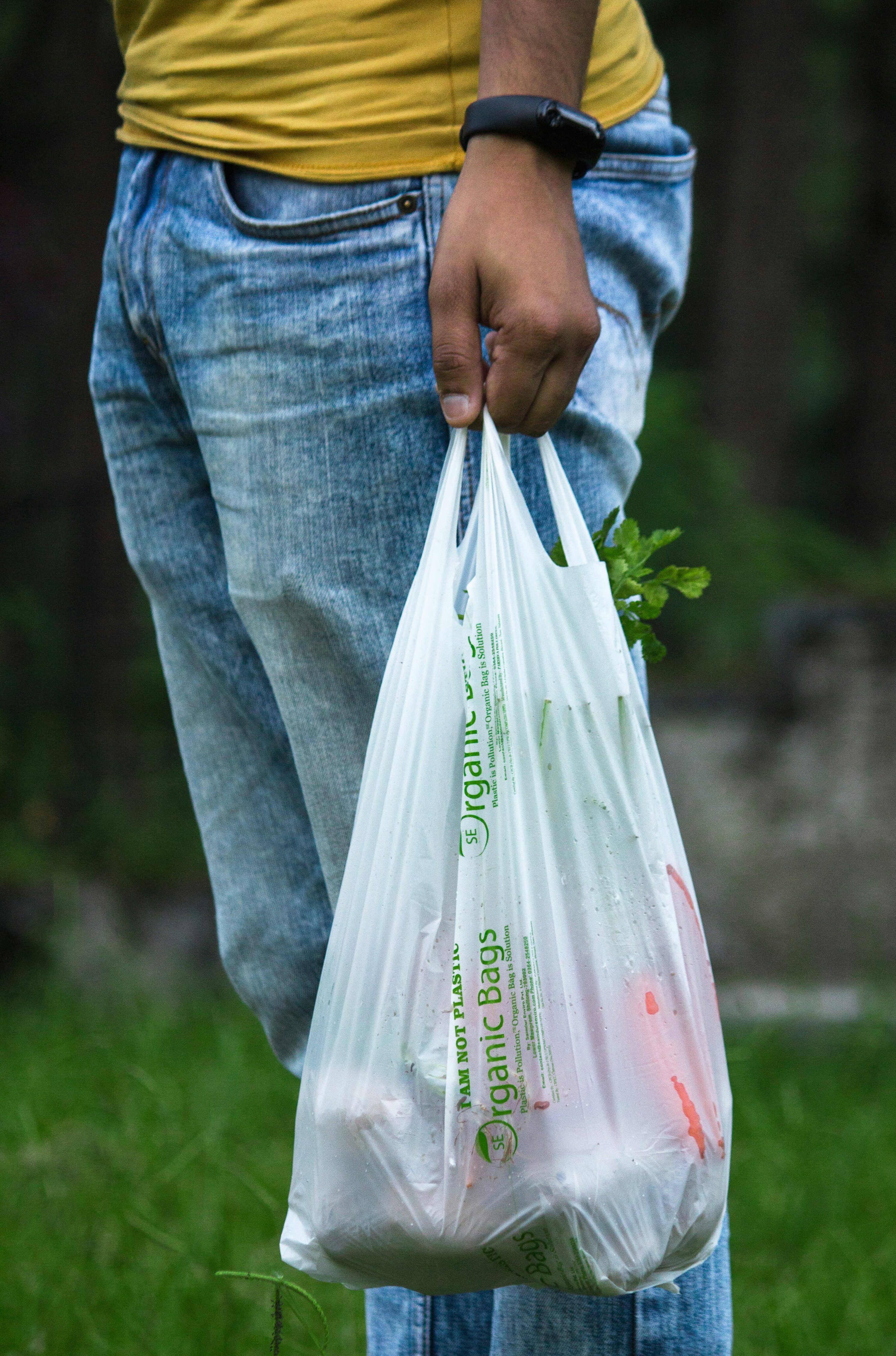  Plastic Bag Disposal During Home Cleaning