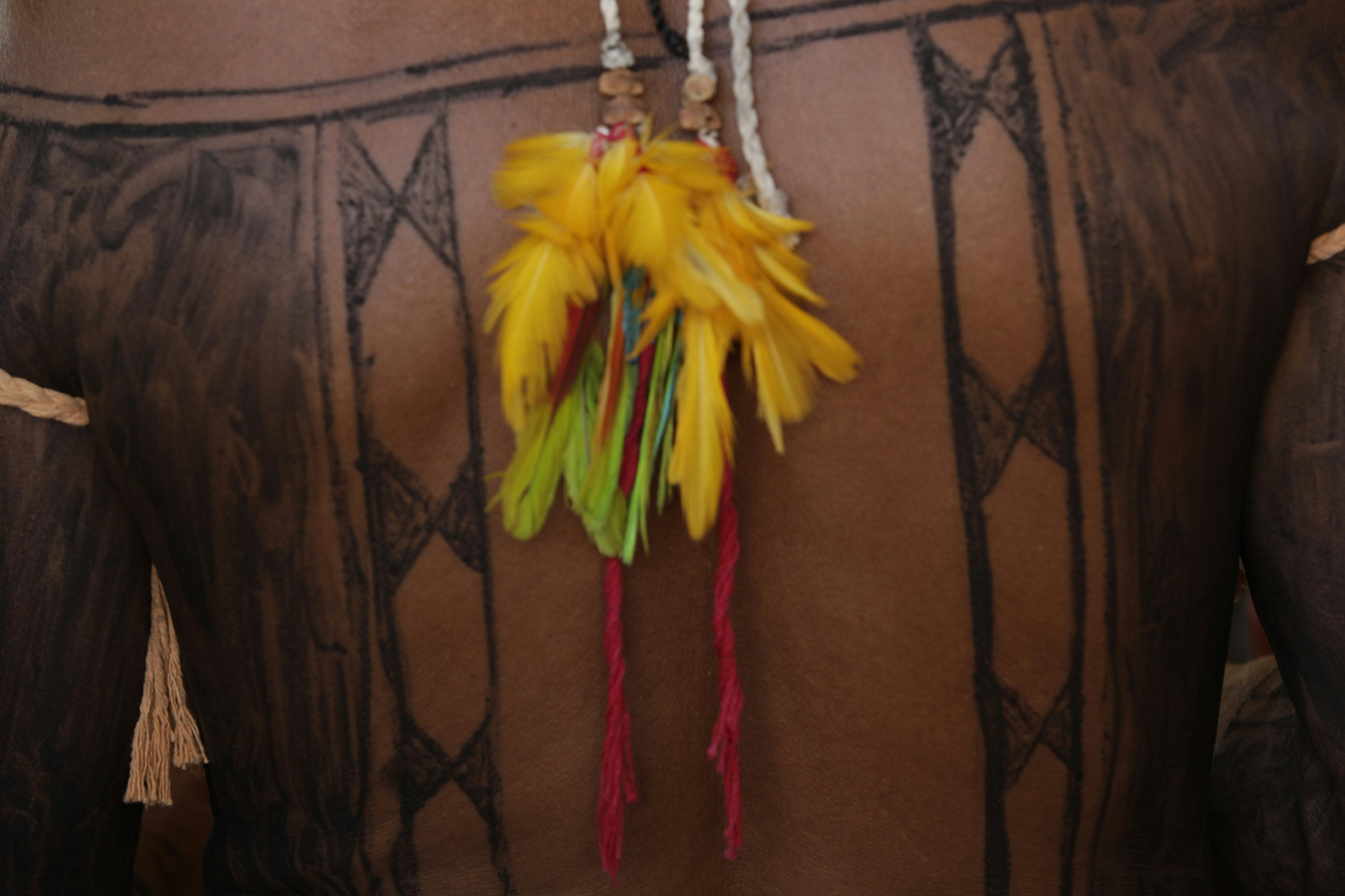  Indigenous Day: Learning from Traditional Ecological Knowledge